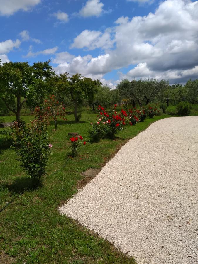Casa Vacanze Le Rose Ariccia Exteriér fotografie