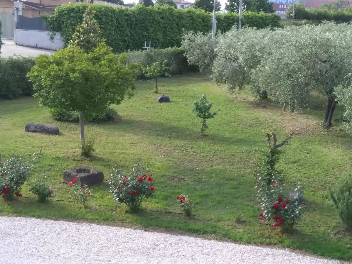 Casa Vacanze Le Rose Ariccia Exteriér fotografie