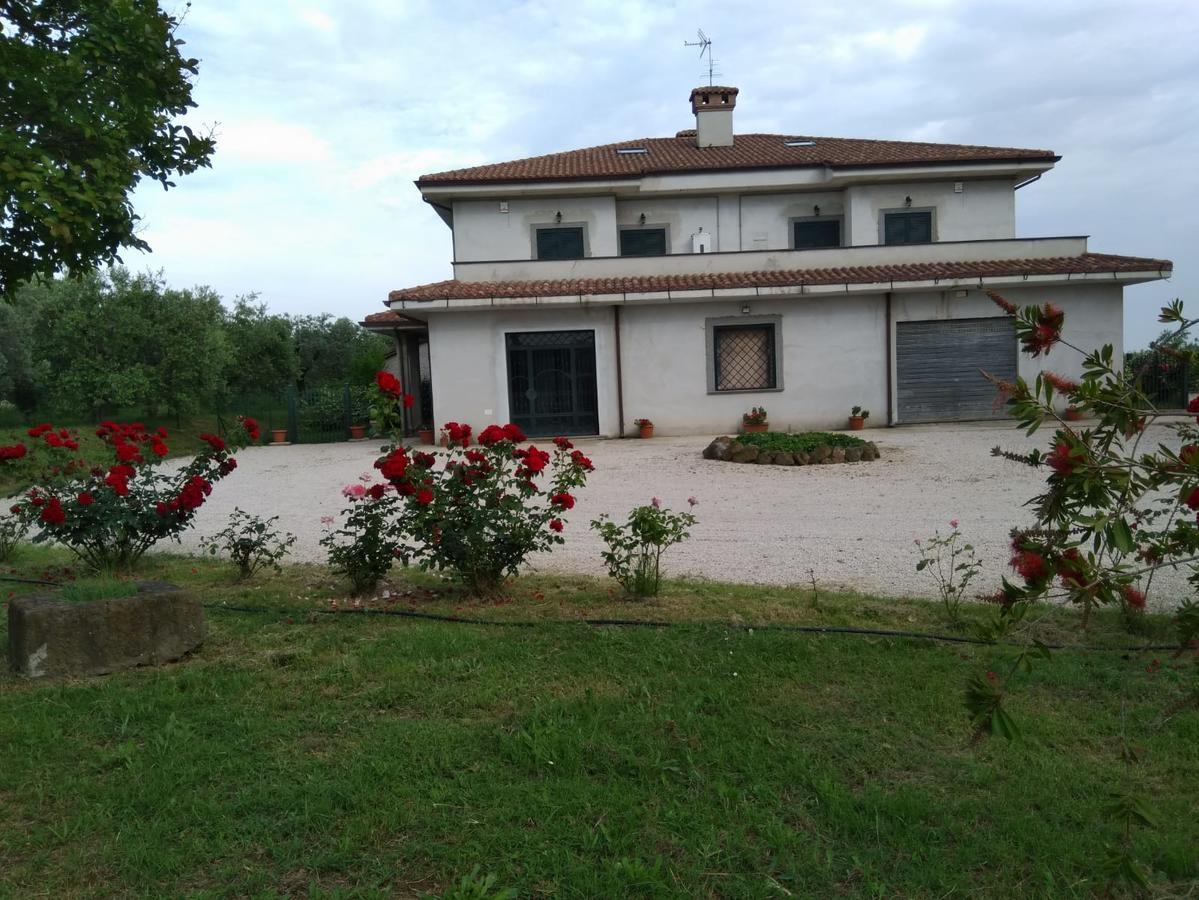 Casa Vacanze Le Rose Ariccia Exteriér fotografie