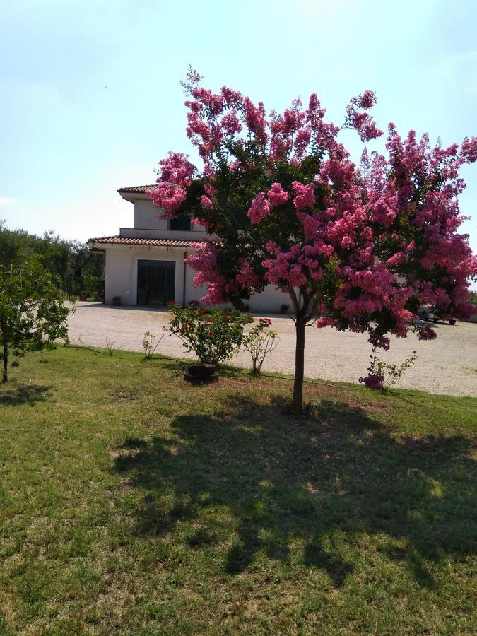 Casa Vacanze Le Rose Ariccia Exteriér fotografie