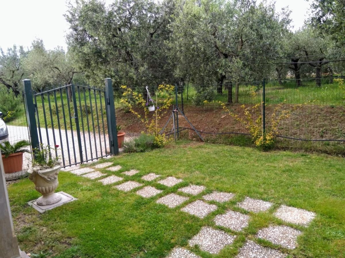 Casa Vacanze Le Rose Ariccia Exteriér fotografie